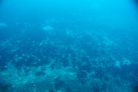
DSC00081